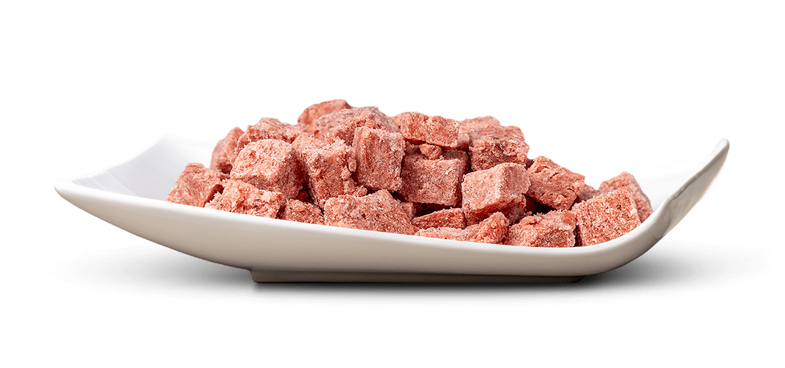 Poulethals Würfel - House of Barf - Hundefutter - BARF - Hundeshop